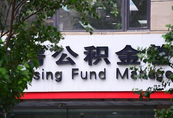 延边公积金离职封存是什么意思（公积金 离职 封存）